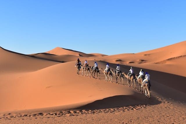 Camel caravan trekking through the golden dunes of Merzouga at sunset, part of the 10 days in Morocco tour from Casablanca.