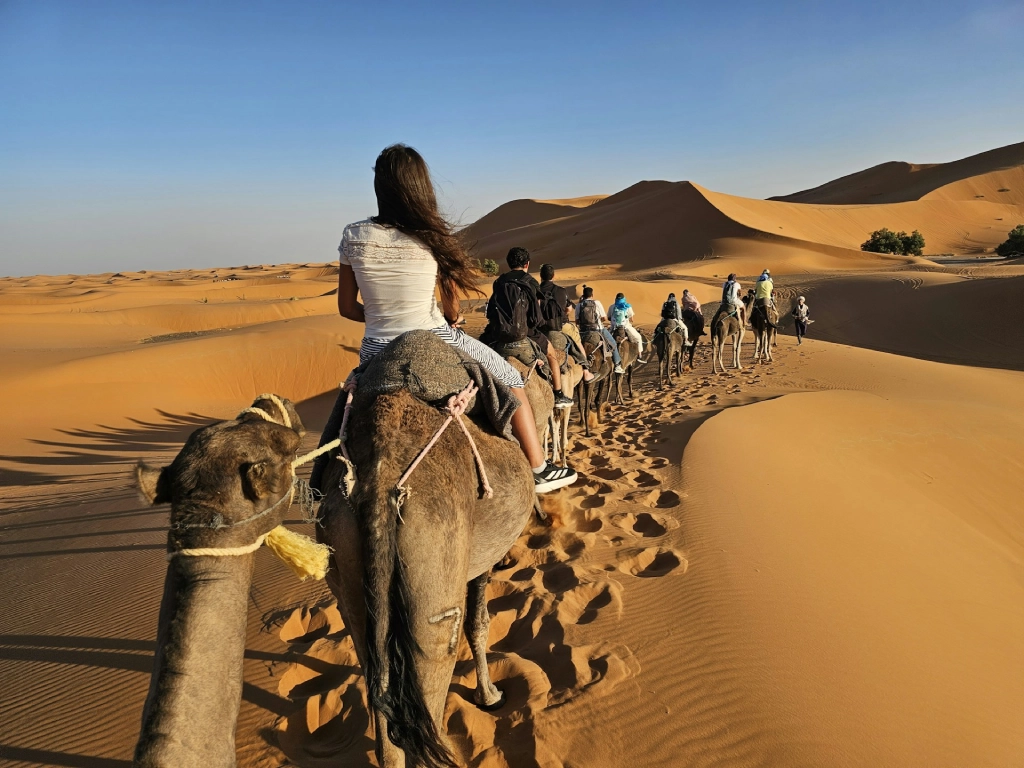 Tourists riding camels in a line across Merzouga desert dunes