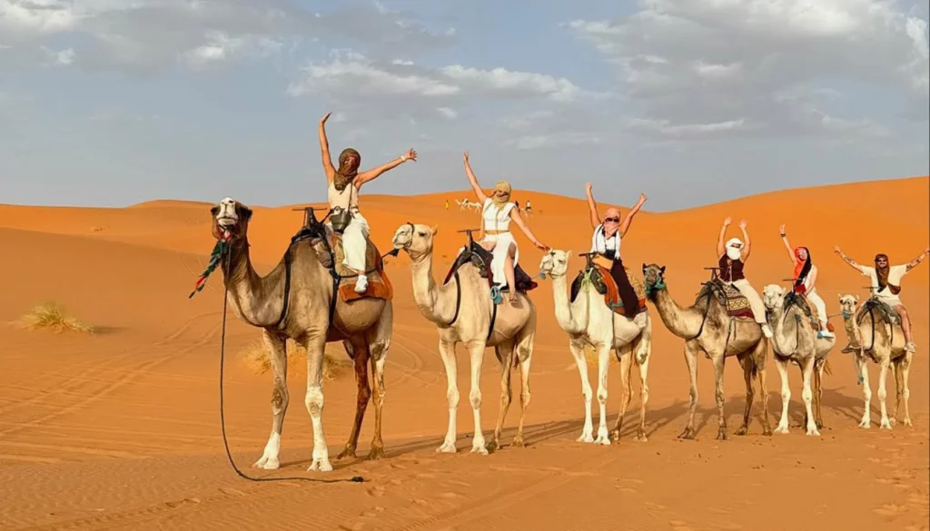 Camel trekking in Erg Chebbi dunes during sunset on a 4 days tour from Marrakech to Merzouga