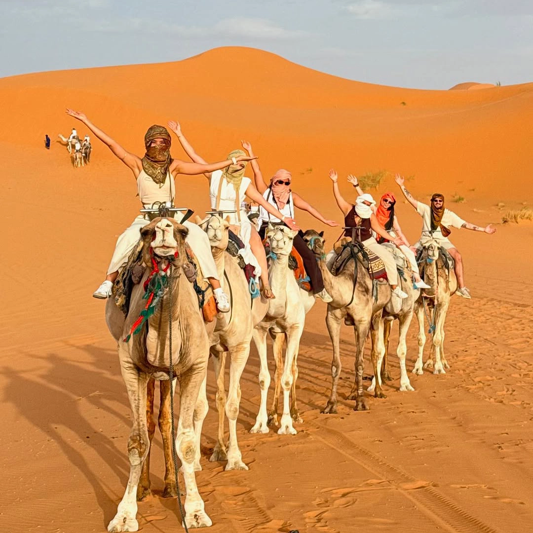 3 days desert tour from Marrakech to Merzouga dunes and camel trek — excited group of travelers riding white camels in line on Erg Chebbi Sahara Desert Morocco arms raised