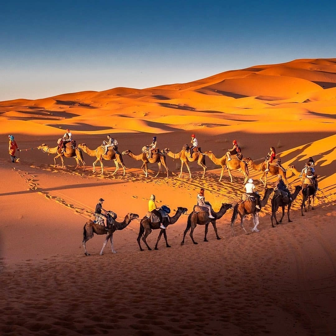 3 days desert tour from Marrakech to Merzouga dunes and camel trek — large camel caravan winding across Erg Chebbi golden dunes at sunrise Sahara Desert Morocco