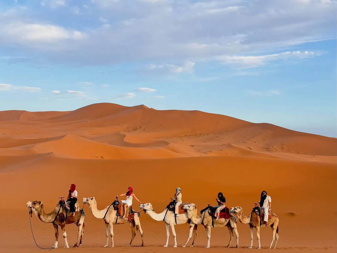 Group of tourists riding camels across the golden sand dunes of Erg Chebbi in the Sahara Desert on a 3-day Marrakech to Fes desert tour, Morocco