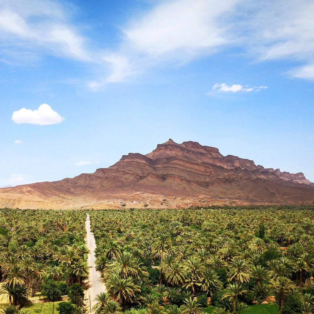 3 day desert trip from Marrakech — Drâa Valley vast date palm groves aerial view Morocco longest river valley return route Day 3