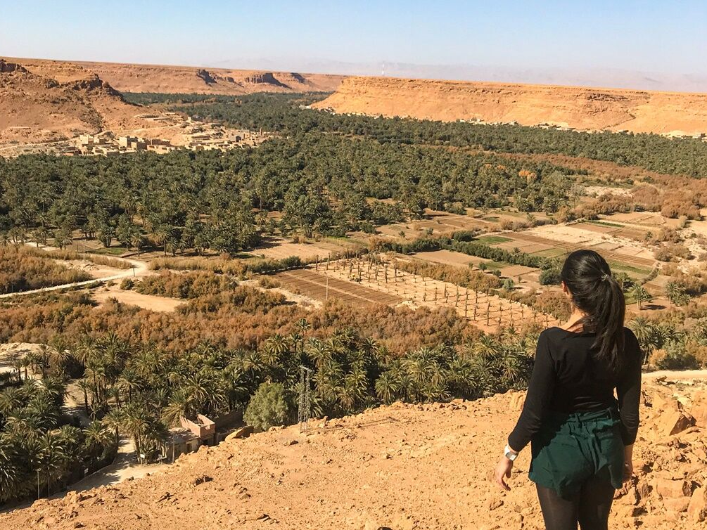 Woman standing on a rocky cliff overlooking the lush Ziz Valley oasis with thousands of date palms and fields stretching into the distance. Morocco
